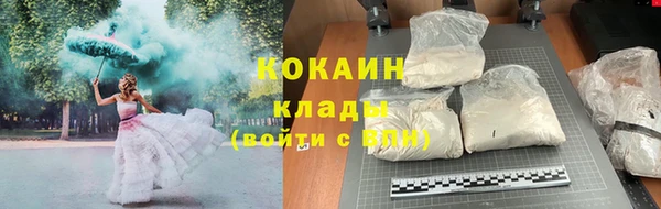 мдпв Вяземский