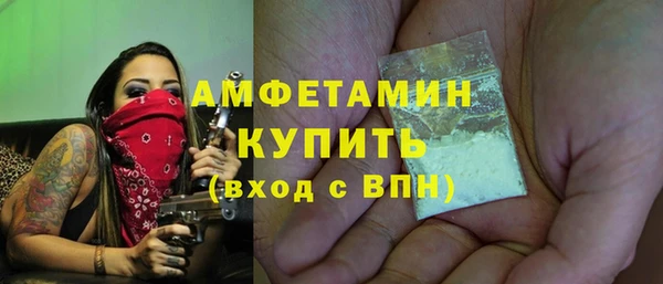 мдпв Вяземский