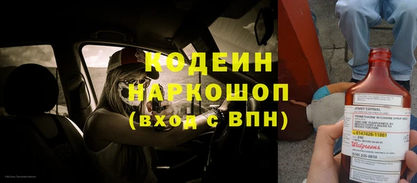 гашик Вязьма