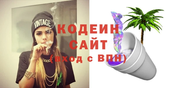 мдпв Вяземский