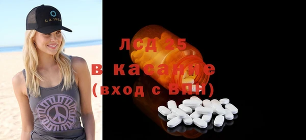 мдпв Вяземский