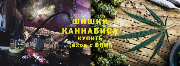 гашик Вязьма