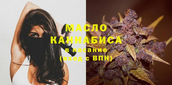 мдпв Вяземский
