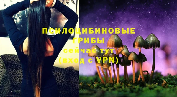 гашик Вязьма