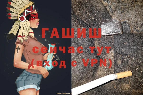 гашик Вязьма