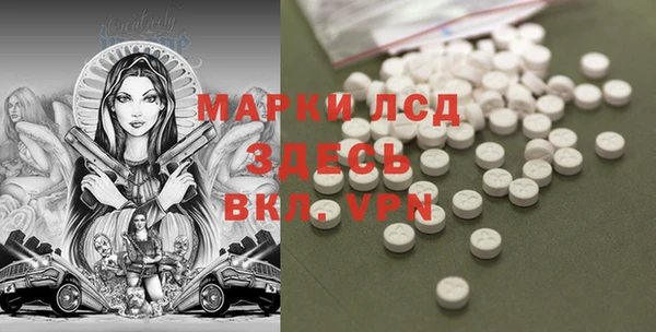 гашик Вязьма