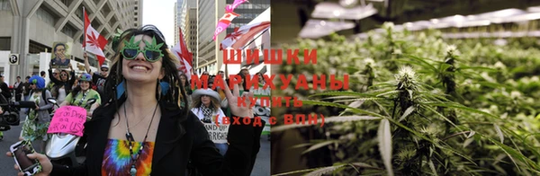 гашик Вязьма