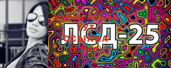 мдпв Вяземский