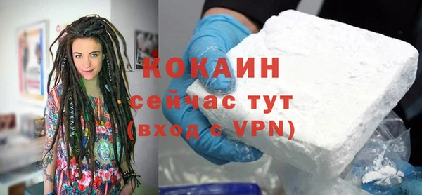 мдпв Вяземский