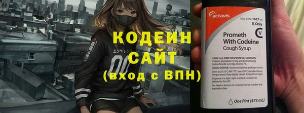 гашик Вязьма