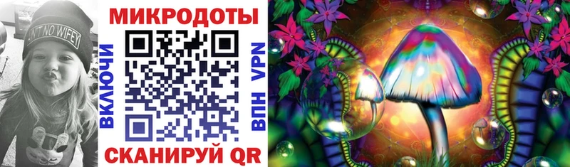 Галлюциногенные грибы Psilocybe  Купить закладки  Кашира 