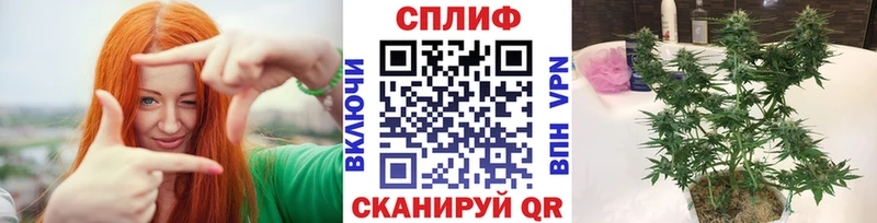 Бошки Шишки планчик  Купить закладки  Кашира 